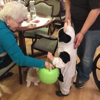 Community Trick-or-Treat